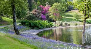 Image result for Castle Kennedy Bowling Club