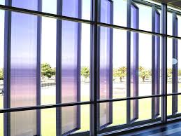 Attēlu rezultāti vaicājumam “Panolis umbra”