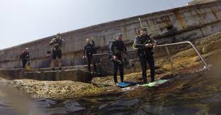 Image result for Surrey Aquanauts B S A C 0689