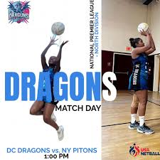 Image result for Camelot Netball Club