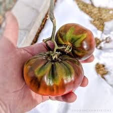 Afbeeldingsresultaat voor black sea man tomato