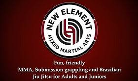 Image result for Full Element Mixed Martial Arts