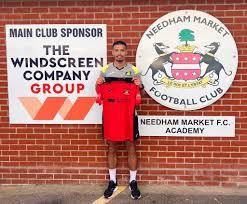 Image result for Needham Market Football Club