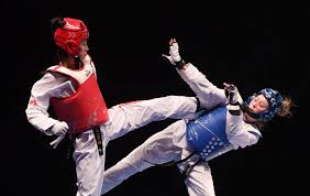 Image result for Park Place Olympic Tkd