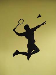 Image result for Camelford Badminton Club