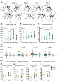 Image result for D.A.R.E!! Development + RadiSense III Y-Axis