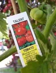 Afbeeldingsresultaat voor millionaire tomato