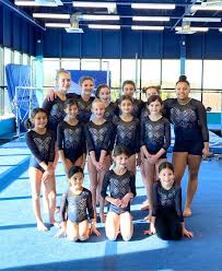 Image result for Focus Institute of Gymnastics