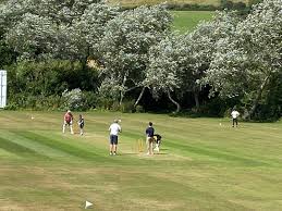 Image result for Bashley (Rydal) Cricket Club