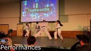 Image result for York University Taekwondo Club