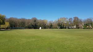 Image result for Old Woking Cricket Club