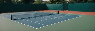 Image result for Network Tennis Centre