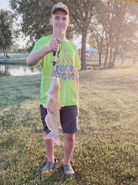 Image result for Fish trampoline and gymnastics club