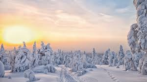 Image result for Laplandit-(Ce)