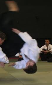 Image result for Newcastle Aikido Club