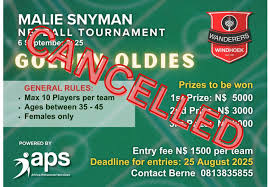 Image result for Willenhall Town Wanderers Netball Club