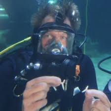 Image result for Cleveland Divers