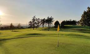 Image result for Downpatrick Cricket Club