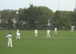 Image result for Pulborough Cricket Club