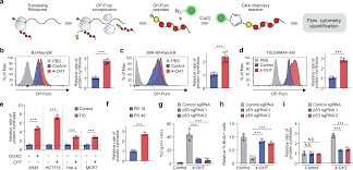 「ラブライナ・ワーズワース」の画像検索結果
