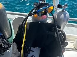 Image result for Scuba Fun