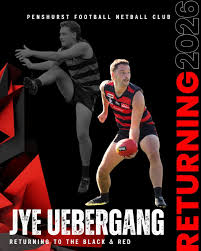 Image result for pulborough netball club