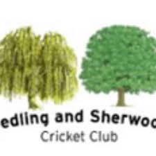 Image result for Thurstonland Cricket Club