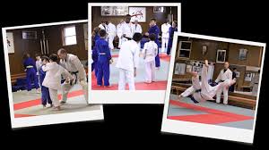 Image result for Twyford Higashi Karate Club