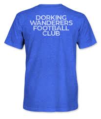 Image result for Dorking Football Club Limited