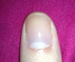 Image result for lunula nail