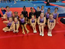 Image result for Tessaro Gymnastics Club