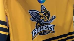 Image result for Basingstoke Bison Ice Hockey Club