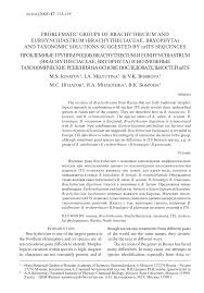 Attēlu rezultāti vaicājumam “Eurhynchiastrum pulchellum macro”