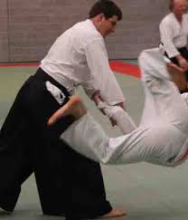 Image result for White Oak Aikido Reading