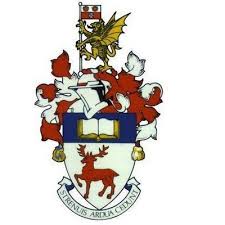 Image result for Southampton University Tchoukball Club