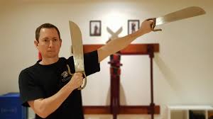 Image result for Kicking Dragon Kung Fu School, Belfast