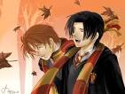 anime harry potter