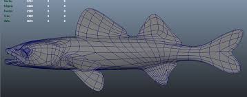 Image result for Sander canadensis