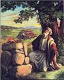 Locusts and Wild Honey: Second Sunday of Lent: The faith of Abraham