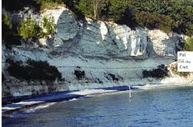 Image result for stevns klint