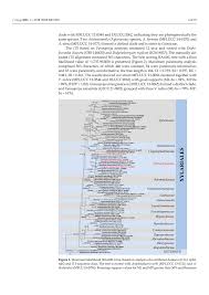 Attēlu rezultāti vaicājumam “Rosellinia desmazieri spores”