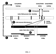 Image result for 20070322