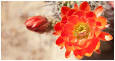      "dating sites mn New Mexico"