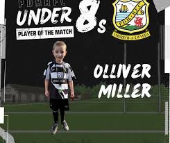 Image result for Pembroke Dock Harlequins RFC