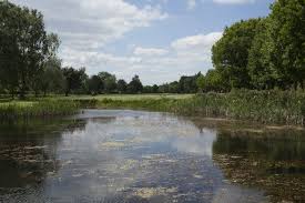 Image result for Newark Golf Club Co Ltd