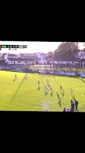 Image result for Sarsfields Hurling Club