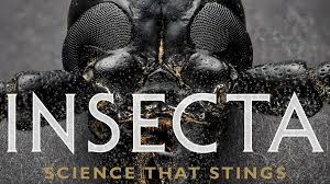 Attēlu rezultāti vaicājumam “Insecta”