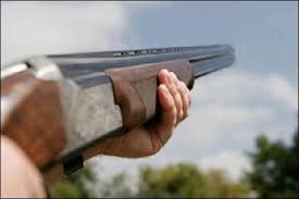 Image result for Clyde Valley Pistol Club