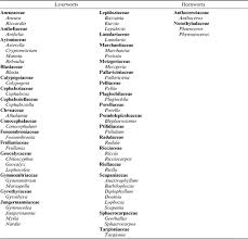 Attēlu rezultāti vaicājumam “Jungermannia sphaerocarpa sporophyte”