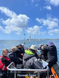 Image result for Slough Octopush Club